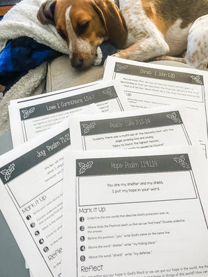 DIGITAL DOWNLOAD Marked by Advent