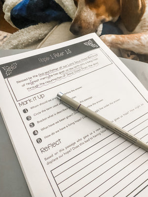 DIGITAL DOWNLOAD Marked by Advent