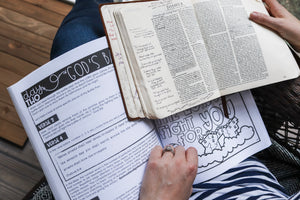 DIGITAL DOWNLOAD God's Promises for Life's Battles