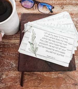 In the Word 365 Scripture Memory Cards