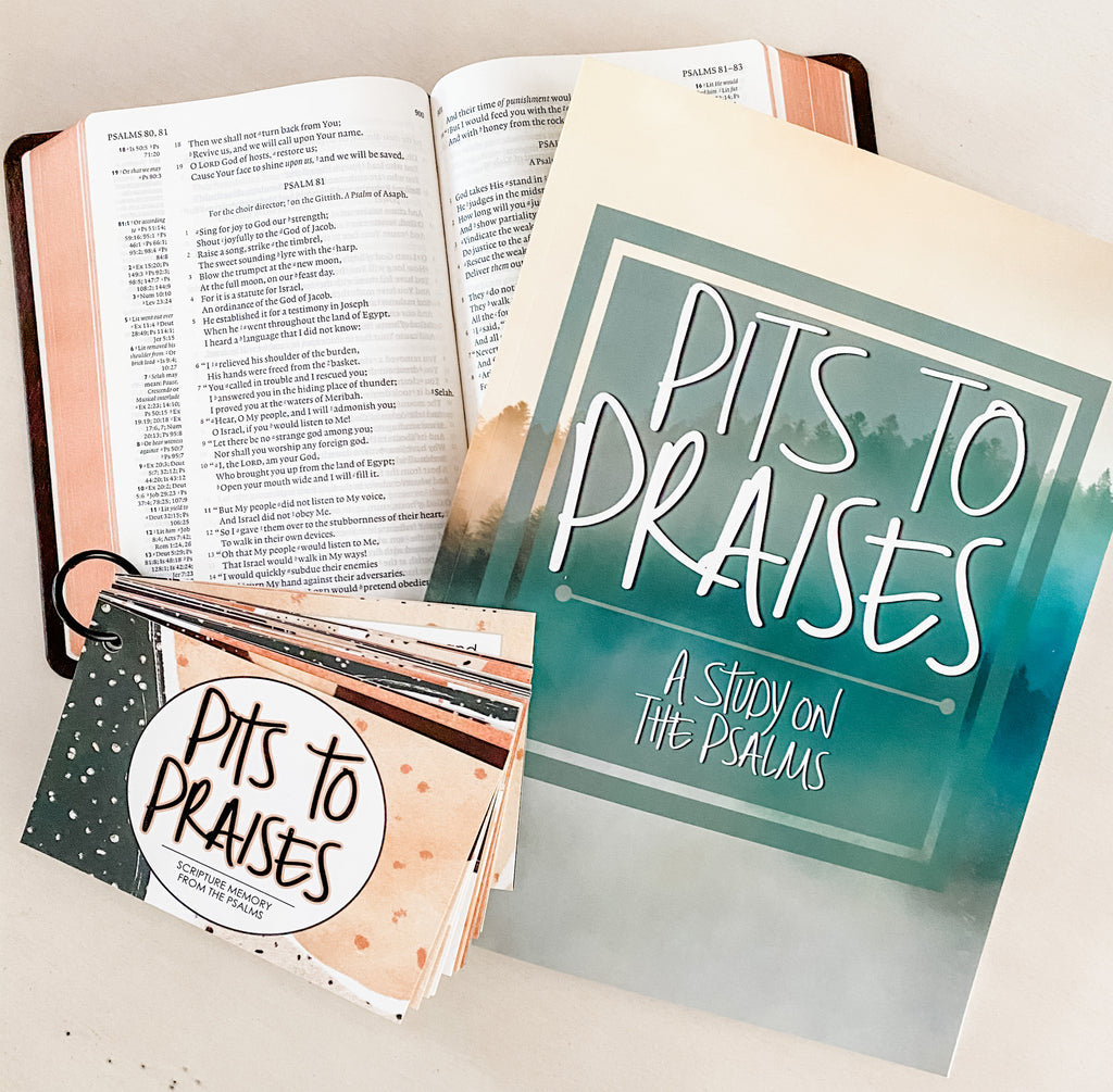Pits to Praises: A Study on the Psalms