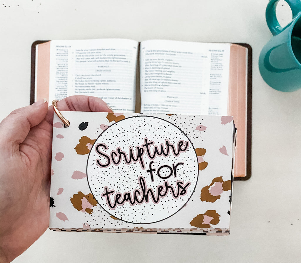 Scratch and Dent: Scripture for Teachers