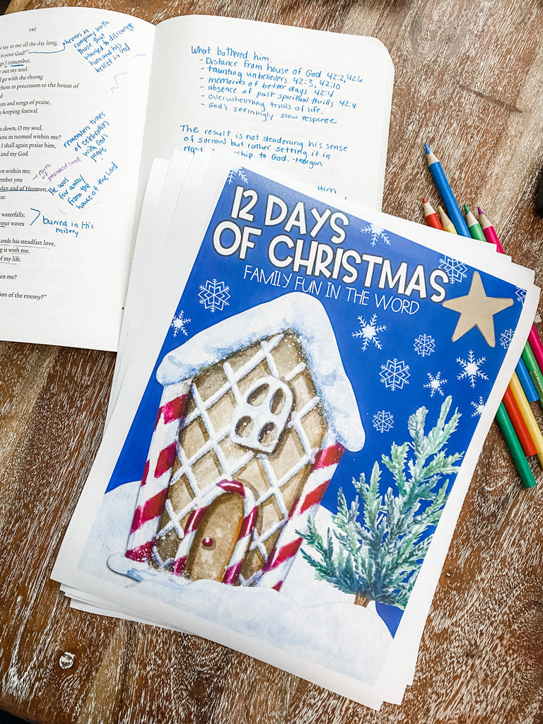12 Days of Christmas - Family Fun in the Word